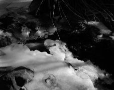 ICE & REEDS, ZION 2011