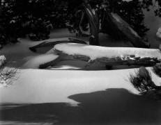 LOG & SNOW, ARCHES 2011