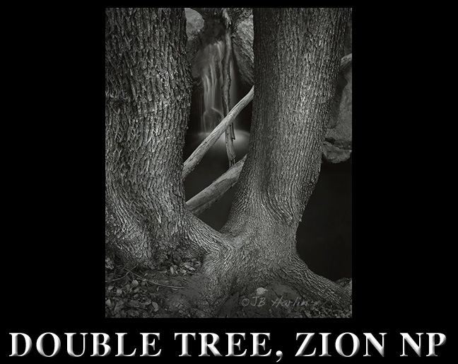 DOUBLE TREE, ZION NP