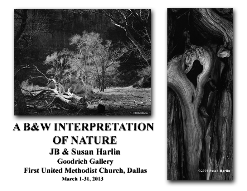 A B&W INTERPRETATION OF NATURE